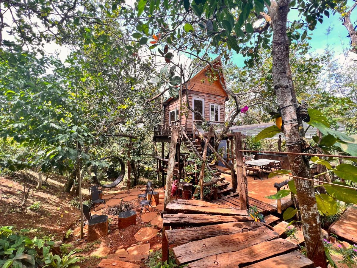 Villa Megarden Daknong à Gia Nghia Extérieur photo